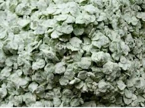 半干的时候加入面粉，来回用手轻轻揉搓，确保每片榆钱都要沾上面粉，面粉要适量多了是面嘎达，少了不好吃。
