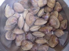 花甲先用清水冲洗干净，去掉泥沙