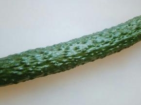 黄瓜洗净