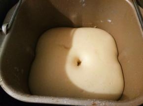 发酵至两倍大，