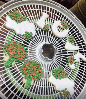 烘干后下面开始裱花，取最开始打发好的蛋白糖霜，比较稠的，加入色素直接搅拌，不加水了，然后用最小的齿状裱花头和叶子裱花嘴，挤在饼干上面，随意的颜色，随意的裱花嘴，随意的搭配，没有裱花头也不要紧，直接用裱花袋剪个口随意挤出来也行。也可以不裱花，写字也行，写字的话就要用加了水的那个抹面的蛋白糖霜，也是装入裱花袋，剪个小口，挤出来写字。