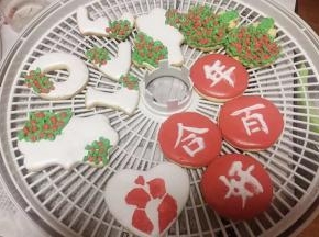利用抖粉模具片，咖啡花片，等等花片，来涂抹蛋白糖霜，也可以做好看的造型。继续放入烘干机中，两个小时。