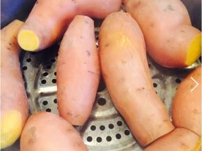 红薯上锅蒸熟。