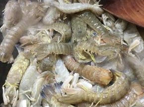 下入皮皮虾不停翻炒。