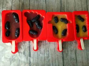 加入少许新鲜的桑葚，放冰箱冷冻四个小时以上，隔夜更佳。