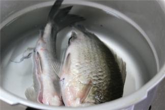 在高压锅里烧水，放入洗净的鲫鱼