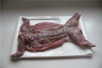 将买好的兔子，洗净兔肉，将兔肉改刀