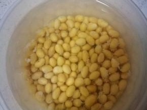 干黄豆泡发，气温低，我泡了一天一夜