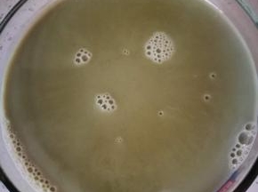 酸奶机的碗需要提起消毒，把打好的黑豆浆过滤后倒入碗中，放凉，大概40度左右，现在可以提前将白糖趁热放入豆浆充分融化