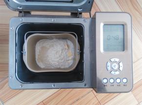 除黑加仑外，所有的材料放入面包桶中，酵母放面粉上，黄油放一侧角落，启动面包机发面程序48分钟