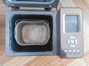 除黑加仑外，所有的材料放入面包桶中，酵母放面粉上，黄油放一侧角落，启动面包机发面程序48分钟