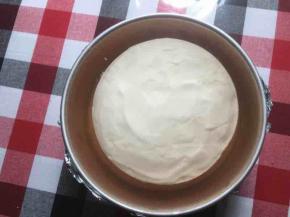 先倒入4分之一酒冻液，放冷冻快速凝固，约30分钟，再倒入剩下的酒冻液，刚好淹没慕斯层，放冰箱冷藏一夜，约6小时