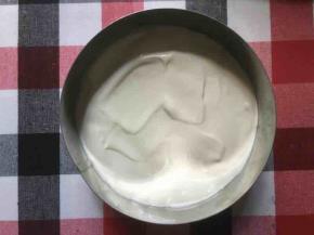 倒入酸奶慕斯，盖住蛋糕胚即可