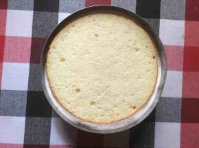 再放一层蛋糕坯，这时要压一下蛋糕，把果粒压进慕斯里