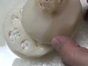 盖上盖子
