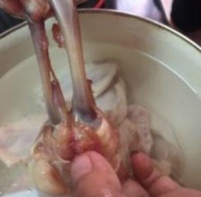 撸到最底下，两根骨头也是连着，也从中间剪断筋，然后撸到底，脱骨。把肉翻过来～