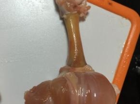 用力向下反撸，直至漏出骨头，期间如果有连接的地方，用刀子隔断连接部分，直至如图