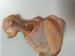把小头的部分，用剪刀划一圈，将连接的筋肉划断