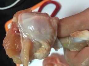 手指穿入，剥离肉上的筋膜和骨头的连接