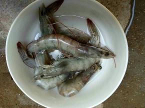 准备好大虾