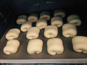 .放在温暖湿润处进行二发，（温度35度，湿度在百分之80）