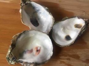 洗干净三个海蛎子的壳。