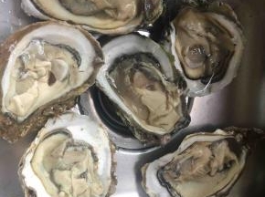 海蛎子买的时候让摊贩给撬开，自己很难撬开。