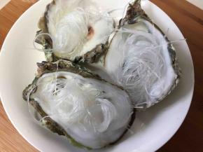 粉丝稍微放一点点盐拌匀，打结铺在海蛎子壳里。