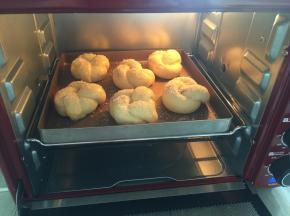 发酵好后，刷上全蛋液，在撒上椰蓉，烤箱中下层，上下火180度烤15到20分钟