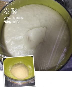 满满倒入酵母水，直至揉成一个面团，包好保鲜膜，温暖处发酵至两倍大，温暖的房间或者夏天，1-1.5小时，天冷可以借助下面放一盆开水，开水盆上放个架子，然后放上面盆，直至两倍大小