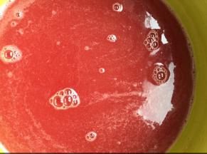 倒入西瓜汁中搅匀