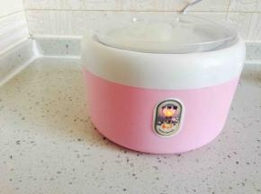 放入酸奶机发酵10小时左右