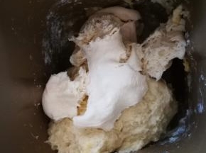 将除黄油和盐以外的所有材料依次加入面包机  先放液体，之后面粉，老面撕成小块。如当地气温偏高，酵母可以晚些放，以免面团还没揉到位，就开始发酵了