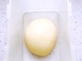 将中种面团的材料混合揉成光滑的面团，放入冰箱冷藏12小时