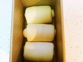 松弛好了再将面团擀成牛舌状，卷2.5圈
放入吐司模