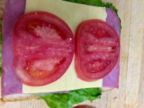 把西红柿放在芝士片上面