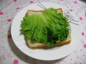 先把生菜放到一片土司片上