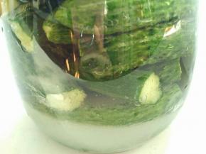 糖都被醋冲到底部了，把密封罐还好盖。翻过来摇一摇。