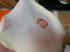 2. 启动面包机揉面程序，将面团揉至扩展阶段，放入软化的黄油；面包机揉面需开盖，防止温度过高。