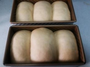 7. 罩上保鲜膜，放温暖处发酵至满模； 烤箱预热180度，底层，烤35分钟。