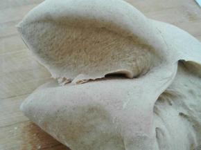 发酵好的面团，揉至，切面无气孔即可