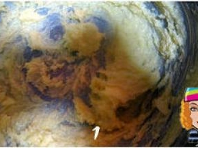 黄油室温软化，加入白糖拌匀，用电动打蛋器打至体积变大，颜色变浅，呈羽毛状；