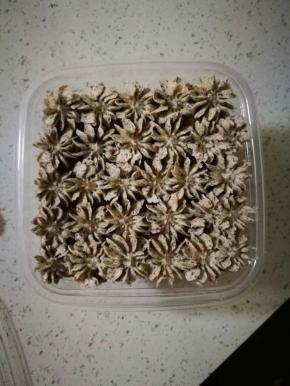 如图，最上面铺了蛋糕片后，为了好看，就换花嘴挤，随个人喜欢，但味道都是一样的 哈哈