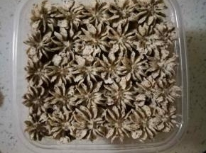 如图，最上面铺了蛋糕片后，为了好看，就换花嘴挤，随个人喜欢，但味道都是一样的 哈哈