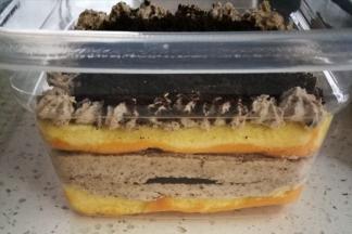 这是原味蛋糕卷做的咸奶油盒子。除了蛋糕卷不同，其他都一样！一样好吃！