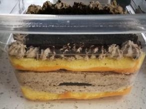 这是原味蛋糕卷做的咸奶油盒子。除了蛋糕卷不同，其他都一样！一样好吃！