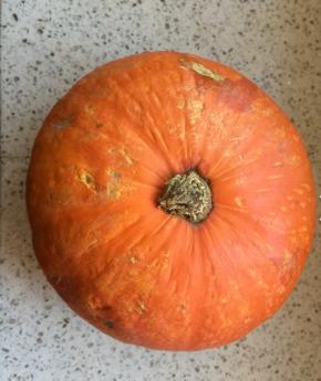 买了一个南瓜做了蒸糕~发现瓜子很大耶~舍不得丢掉~随便做了做~