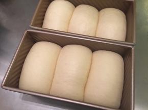 发至模具八至九成模高（轻按面包胚，会缓解回缩即可）