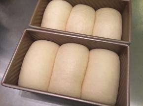 发至模具八至九成模高（轻按面包胚，会缓解回缩即可）