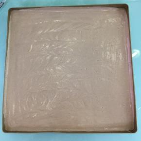 将拌好的蛋糕糊倒入不粘烤盘中（28*28金色不粘烤盘），轻轻的晃动几下，再用力震几下，震出大气泡。